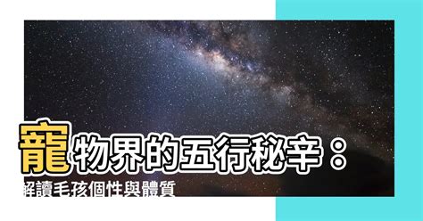 寵物行業 五行|【動物 五行】揭秘動物五行屬性，幫你找到最契合的毛孩！